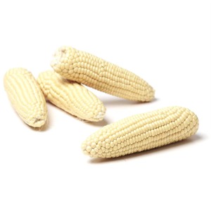 Maïs blanc de première qualité pour l'alimentation animale, maïs blanc... - Product Image 3