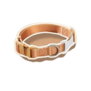 Collar Ajustable para Gato de Nailon Color Verde Azulado con Cierre de Hebilla, Diseño Simple, para Todas las Estaciones, para Gatos Pequeños - Product Image 6
