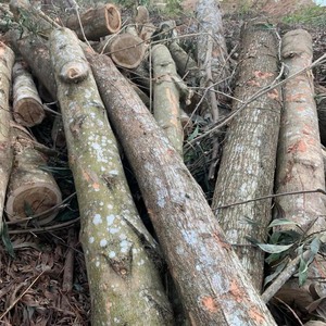 Pile de bois fabriquée au Vietnam et prête à exporter - Product Image 3
