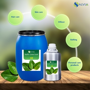 Kaffir Lime Leaf Oil 100% Pure et Naturelle Vente en gros en vrac Prix le plus bas Emballage personnalisé - Product Image 3
