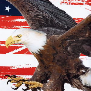 Venta al por mayor atlética camiseta sin mangas para los hombres de algodón y poliéster Material ligero transpirable diseño personalizado OEM fábrica a granel - Product Image 4