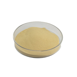 Enzima proteasa alcalina PARA LA hidrolisis de proteínas - Product Image 2