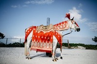 Costume de cheval classique traditionnel en velours moderne pour cérémonie indienne Baraat, mariage sud-asiatique, léger, professionnel, pour l'extérieur