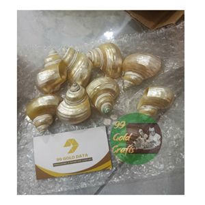 Servilleteros de concha marina con datos dorados, para decoración de playa, naturaleza amigable de Vietnam, pedido a granel, 99 unidades - Product Image 4