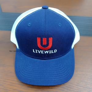 Gorra de Béisbol Deportiva con Logotipo Bordado en 3D Personalizado, 6 Paneles, 100% Algodón, Tela Impermeable, Cierre de Hebilla Dorada y Cobre, Unisex - Product Image 2