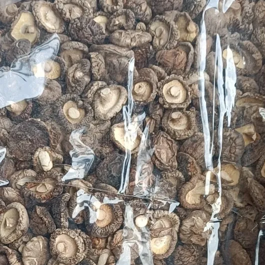 Dried Shiitake Mushrooms - Dried 100% natural mushrooms premium grade and the best price / Hana
