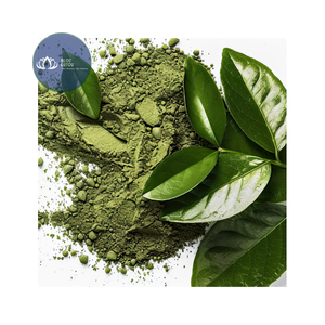 Juego de Té Matcha de Bambú Hecho a Mano de Alta Calidad, Chawan de Cerámica, Soporte para Batidor, Ceremonia del Té - Product Image 6