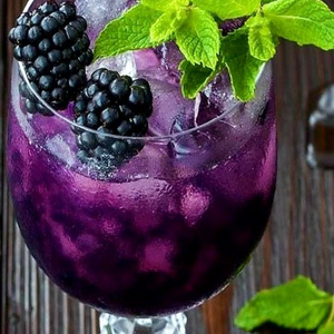 Jugo de Morera Rico en Antioxidantes para Marcas de Bienestar - Product Image 4