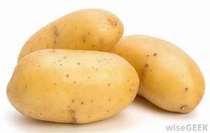 Alta calidad orgánica 100% amarillo largo estilo fresco Holanda variedad patatas nuevo cultivo 2022 10cm TAMAÑO DE Europa - Product Image 6