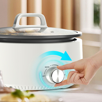 Marmite électrique populaire antiadhésive amovible facile à nettoyer 1500W 4L pour usage domestique avec base amovible