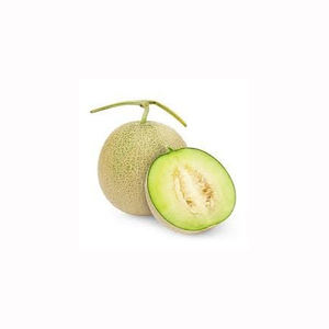 <b>Fresh</b> musk <b>melon</b> sweet aromatic fruit premium quality tropical produce bulk wholesale export farm direct supply - Product Image 4