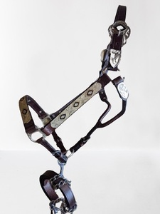 Halter de equitación inglés de cuero Premium de alta calidad con herrajes chapados en plata fina pesada Productos de caballo combinados en blanco y negro - Product Image 3