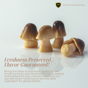 Kim Minh อาหารนานาชาติเห็ดฟางปอกเปลือกในน้ำเกลือพร้อมรับประทาน24เดือนอายุการเก็บรักษาผักกระป๋องที่ดีที่สุดของเวียดนาม - Product Image 2