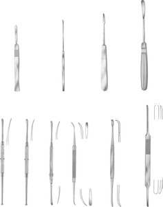 Instrumento Quirúrgico Manual de Acero Inoxidable con Marca CE, Precio Competitivo, Instrumento para Rinoplastia, Instrumento Great Star - Product Image 2