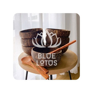 Bols à noix de coco MEILLEUR vendeur pour la présentation des aliments et l'utilisation de la cuisine à domicile de Blue Lotus au Vietnam. - Product Image 1