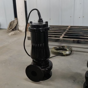 Heavy Duty Cast Iron Sewage <b>Pump</b> for Municipal Drainage System - Product Image 3