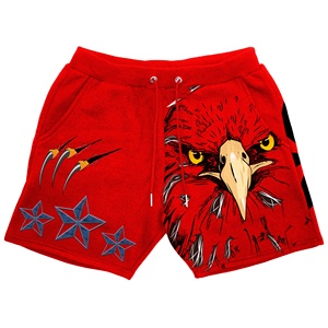 Pantalones Cortos Deportivos Personalizados con Estampado de Águila para Hombre, Ropa Deportiva Urbana, Pantalones Cortos para Correr, Fitness, OEM, Venta al Por Mayor - Product Image 1