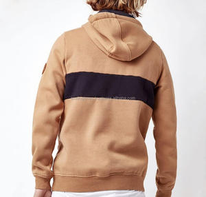 2020 OEM usine en gros hommes de haute qualité polaire sweat-shirt personnalisé Double ton pull fermeture éclair à capuche hiver col à capuche - Product Image 3