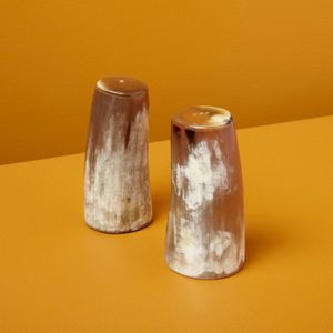 Ensemble de salière poivrière en corne de buffle de luxe Style corne de boeuf polie décoration de la maison et ustensiles de cuisine utiliser un produit d'artisanat naturel - Product Image 4