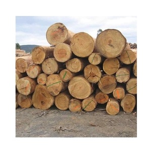 Madera de Eucalipto para Embalaje - Fabricación de Cajas, Contenedores y Palés - Product Image 1