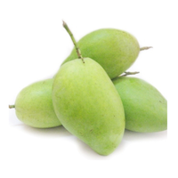 Mangue fraîche du Vietnam Meilleure qualité et prix compétitif Fourni à tous les pays à partir de 99 données d'or au Vietnam
