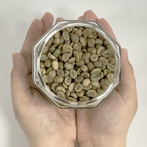 Granos de Café Robusta de Vietnam de Alta Calidad, Calibre 16, Procesamiento Natural Verde, Estándar de Exportación Arábica, Se Aceptan Pedidos al por Mayor - Product Image 4