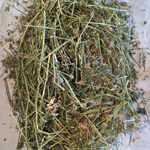 Foin de luzerne à haute teneur en fibres pour l'alimentation animale en vrac Fourniture de foin de luzerne en grande quantité avec une qualité supérieure au meilleur prix - Product Image 4