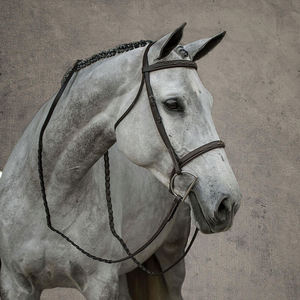 บังเหียนขี่ม้าสายบังเหียนและบังเหียนม้าทำจากวัสดุม้าที่มีคุณภาพสูงผลิตตามสั่ง - Product Image 5