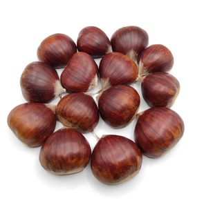 Hot Selling Organic Fresh Chestnuts Best Quality Raw Processed Chestnuts - Product Image 1