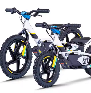 ORIGINAL HUSQVARNAS 16 ÉDITIONS D'USINE EDRIVE Road Bik - Product Image 1