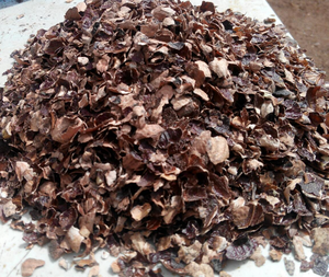 Nuez de Anacardo de Vietnam al por Mayor para Procesamiento - Product Image 6