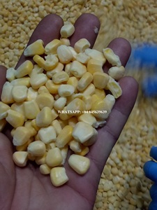 เมล็ดข้าวโพดแช่แข็ง IQF ฉลากสะอาดเกรดอาหารเกรดพรีเมี่ยมหวานฉ่ำและเป็นธรรมชาติ100% ส่งออก - Product Image 6