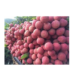 ลิ้นจี่สดแช่แข็งคุณภาพสูงจากเวียดนาม - Product Image 6