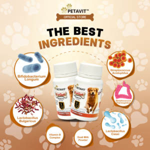 Lactomax Probiotische Geitenmelk Kauwtabletten Honden Immuun Darm Gezondheid Spijsvertering Ondersteuning Vanille Smaak Veilig Snel Absorptie Alles - Product Image 3