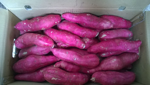<b>Fresh</b> Sweet <b>Potatoes</b> From Vietnam Farm - High-quality Export Product for Retail and Wholesale by 99 Gold Data - Product Image 3