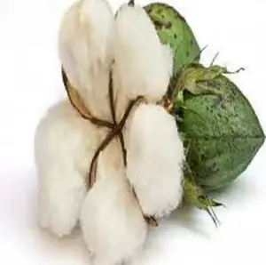 綿リンター詰め機綿枕詰め物素材卸売価格1トンあたり生綿リンター