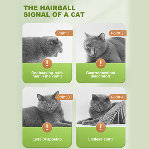 <span class=keywords><strong>Pasta</strong></span> <span class=keywords><strong>per</strong></span> il Controllo dei Nodi di Pelo in Fibra di Frutta <span class=keywords><strong>per</strong></span> <span class=keywords><strong>Gatti</strong></span>, Spedizione Diretta dalla Fabbrica, Delicata ed Efficace nella Rimozione dei Nodi di Pelo, Integratore <span class=keywords><strong>per</strong></span> la Salute degli Animali Domestici - Product Image 2