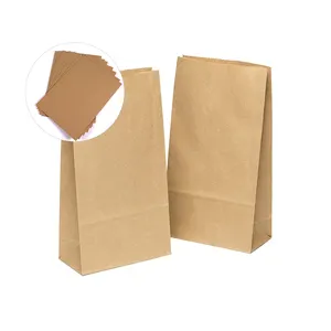 包装纸袋的最佳价格，带定制标志可回收牛皮纸，质量超高