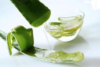 Gelée d'Aloe Vera Douceur et Arôme Naturel Une Option Rafraîchissante Pour Un Usage Quotidien Aimée Pour Son Effet Rafraîchissant