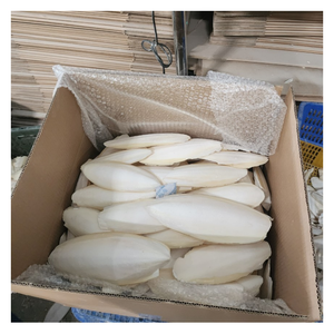 นำธรรมชาติเข้ามาในกรงด้วยกระดูกปลาหมึกที่สะอาดของเราซึ่งเป็นวิธีธรรมชาติที่ช่วยพยุงสัตว์เลี้ยงของคุณให้แข็งแรงจะงอยปากและการเจริญเติบโตของเปลือกหอย - Product Image 5