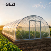 Serre commerciale hydroponique pour la culture de légumes et de tomates, tunnel en plastique à simple travée, tunnel haute hauteur, serre à structure en arche Quonset