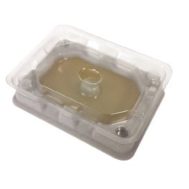 Piège anti-punaises de lit et anti-acariens pour lits 2 unités (Novar 4443) - Product Image 2