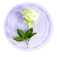 Sous-verres antidérapants en silicone rond de haute qualité protecteur de table soucoupe de décoration de table écologique et durable