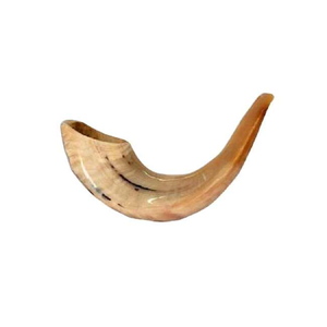 Corne de bélier de meilleure qualité Shofar corne naturelle Shofar pour souffler et à des fins religieuses Shofar casher poli - Product Image 5