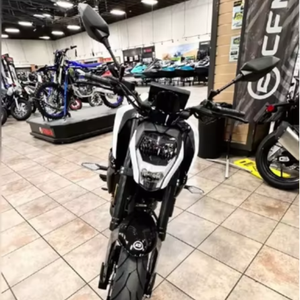 Nuevo 2025 para Motocicleta Deportiva 300NK OEM DIY Grado Industrial 1 Año de Garantía en Venta - Product Image 2