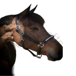 Cabestro de caballo de cuero elegante con banda nasal de diamantes de imitación y ajuste doble ajustable para un aspecto elegante - Product Image 1