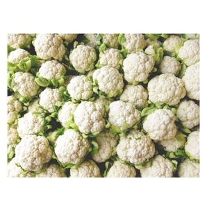 Nouvelle récolte de chou-fleur frais au prix Légumes frais de haute qualité - Product Image 4