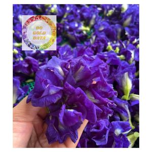 TRUE BLUE BUTTERFLY PEA FLOWER <b>DRIED</b> WHOLE <b>PETALS</b> HANDPICKED FROM VIETNAM FOR HERBAL TEA FOOD COLORING AND BULK EXPORT - Product Image 2