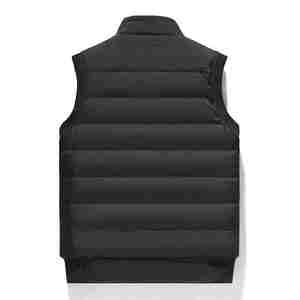 Chaqueta acolchada de poliéster impermeable con diseño personalizado para hombre de High Street 2025, capucha de algodón de talla grande para servicio OEM de invierno - Product Image 3