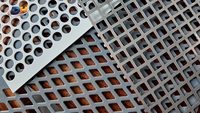 Panel Metálico Perforado de Acero Inoxidable, Forma Personalizada, Diámetro del Orificio, Grosor, para Aplicaciones Industriales